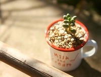 最全的星座系名句欣赏