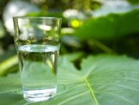 每天清晨为你倒好一杯水