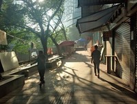 清晨的阳光