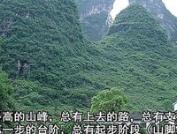 最新的《肥鸟当自强》语录摘抄