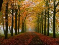 描写壮烈的语句摘抄