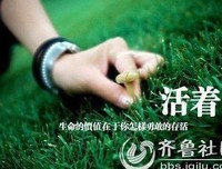 最新的杀猪刀的温柔经典语录