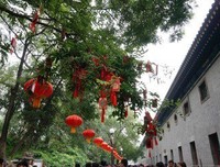 后来，我又遇见了你