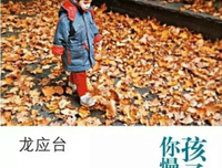 关于龙应台的名言