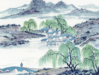 最新的《眉间雪》名句欣赏大全