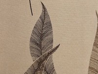 若叶知秋名言大全