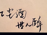 最经典的《一生一世笑红尘》小说摘抄