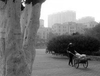 生活，还得继续，还要向前