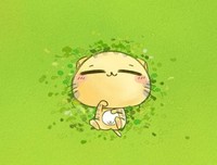 关于花猫名言名句