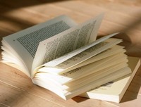 最新的《新浪博客》经典名句
