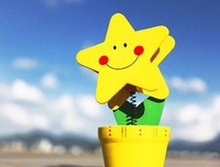关于曾诺的语句