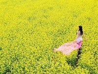 我在春天等你