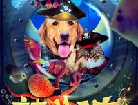 最新的《爆萌宠妃》经典名句