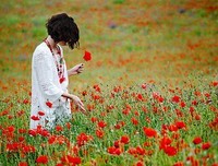 《如果那时我知道》佳句摘抄