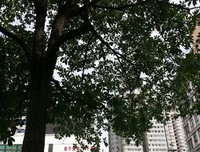 你残疾我哑巴，咱两刚好可以组乐队