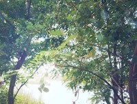 最经典的《梦里花落知多少》小说句子