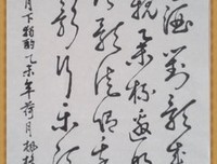 月下蝶影15句经典名言