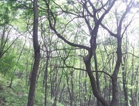 四十以后的醒悟。早看早醒悟