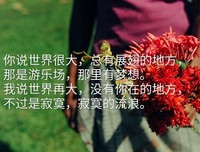 流浪的蛤蟆15句经典名言