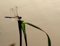 死亡断想