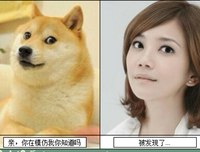 关于静茹名言名句