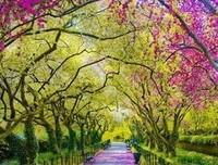 最全的《易经》名句欣赏大全