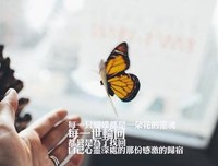 关于万苦的唯美语录