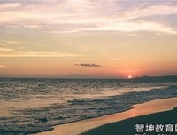 最全的《我在你的世界下落不明》经典句子
