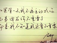卢思浩的句子