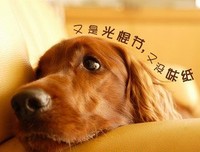 青音姐过生日居然这么败家，粉丝知道吗？