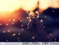 我不想你那么孤单
