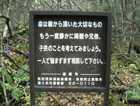 《自杀森林》影评10篇