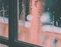 11月运势预报：狮子运势好到炸！天蝎却诸事不宜...
