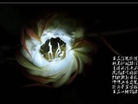 花秋月的语句摘抄_关于花秋月的语句