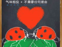90后爱情观：找个同频的爱人
