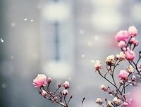 南康白起经典语录
