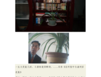 淮上经典名句