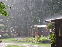 妈妈的心在下雨，我没有伞