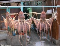 去你MD，老子从来都不缺！”，每次事后我点燃一根烟，