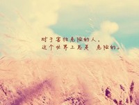 关于陈平的唯美语录