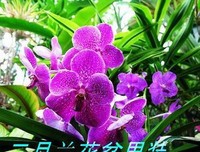最新的《仙剑奇侠传六》佳句摘抄
