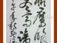 《长安乱》语录摘抄大全