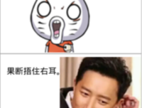 关于左耳的格言