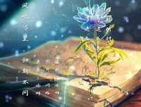 望你，像风吹万里，不问归期