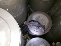 生活就是生下来活下去