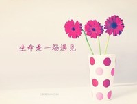 《小心轻放的光阴》经典名句大全