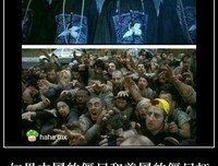 关于揭竿而起的格言