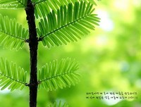跑步圣经经典读后感10篇