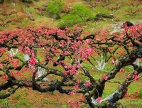 有些谎话，充满牵挂