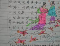 只记花开不记年经典读后感10篇
